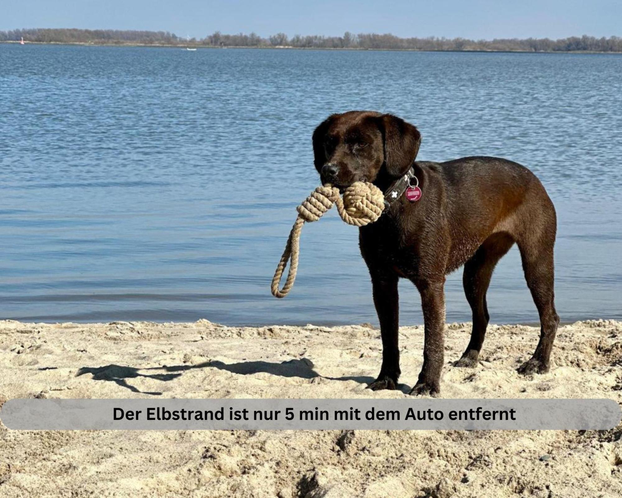 Twielenfleth Lodge Of Africa - Einzigartige Themenzimmer, Eingezaeunten Garten, Sauna, Whirlpool & Kamin, Hunde Willkommen, Gasgrill, Voll Ausgestattete Kueche, Grosser Essbereich, Hamburg & Stade In Der Naehe מראה חיצוני תמונה
