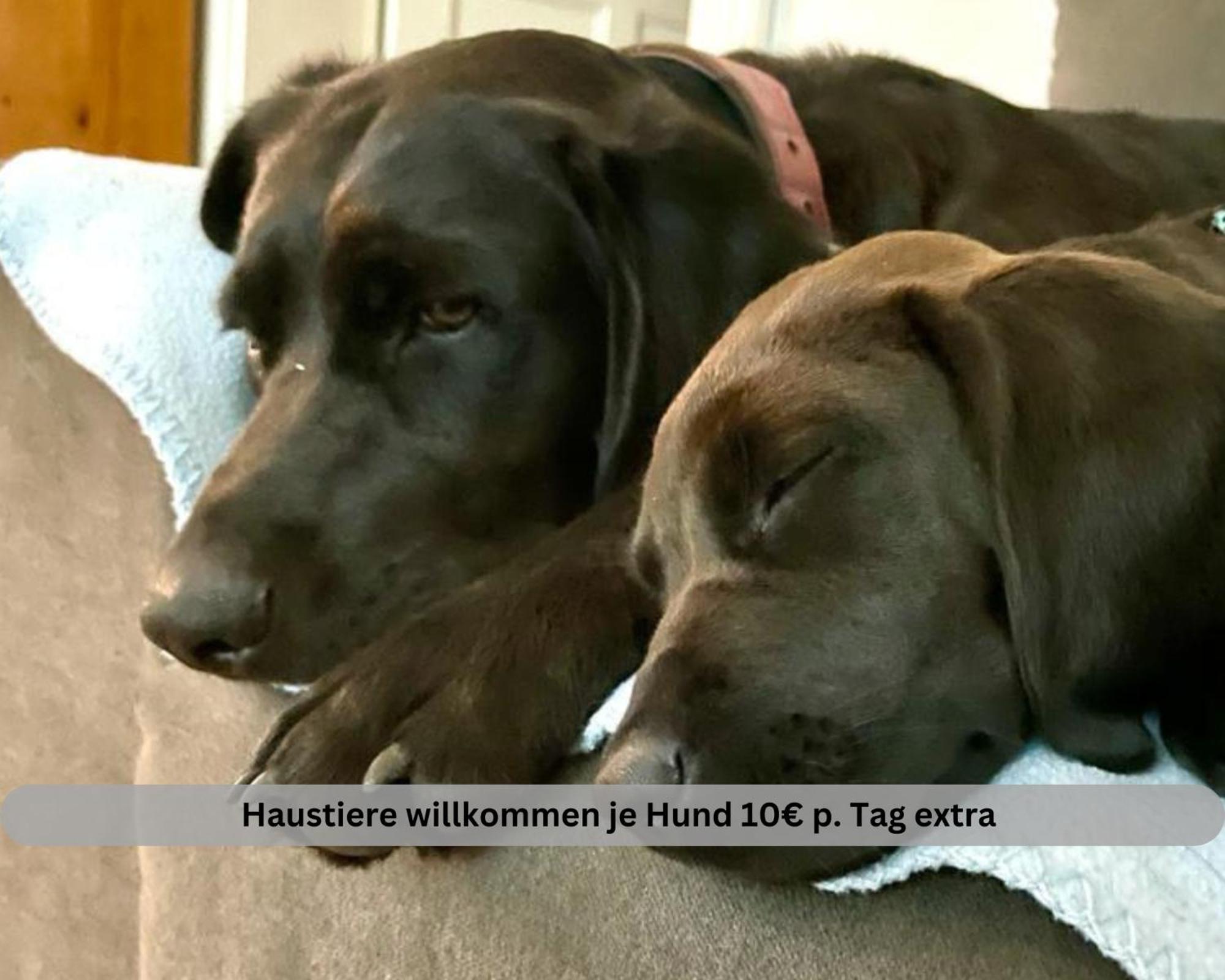 Twielenfleth Lodge Of Africa - Einzigartige Themenzimmer, Eingezaeunten Garten, Sauna, Whirlpool & Kamin, Hunde Willkommen, Gasgrill, Voll Ausgestattete Kueche, Grosser Essbereich, Hamburg & Stade In Der Naehe מראה חיצוני תמונה