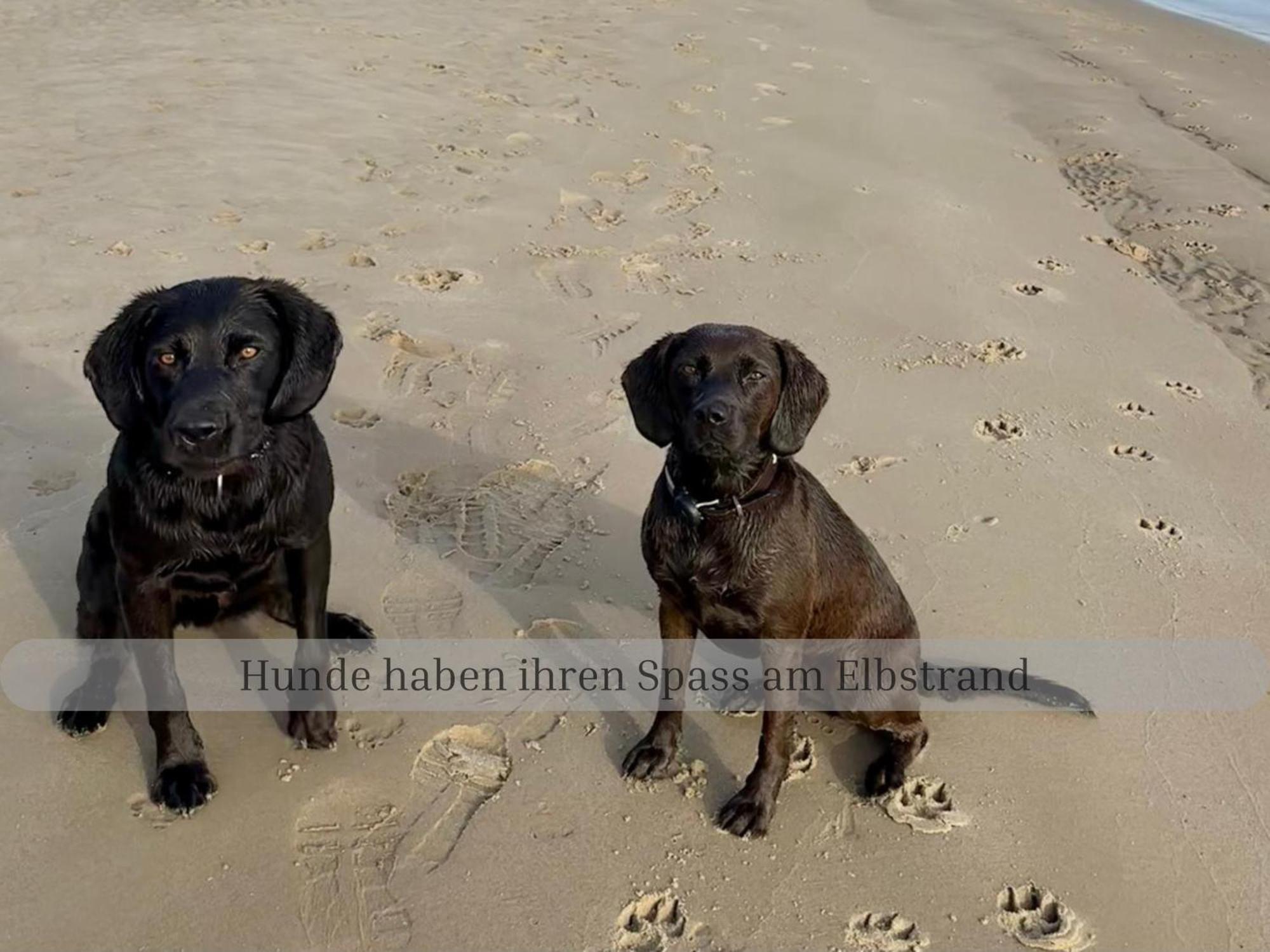 Twielenfleth Lodge Of Africa - Einzigartige Themenzimmer, Eingezaeunten Garten, Sauna, Whirlpool & Kamin, Hunde Willkommen, Gasgrill, Voll Ausgestattete Kueche, Grosser Essbereich, Hamburg & Stade In Der Naehe מראה חיצוני תמונה
